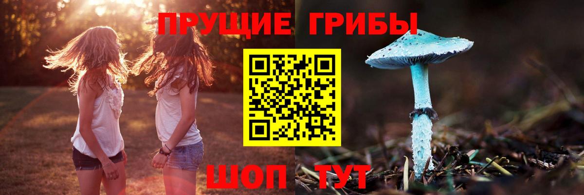 Асбест  Галлюциногенные грибы Psilocybine cubensis  Вход с VPN 
